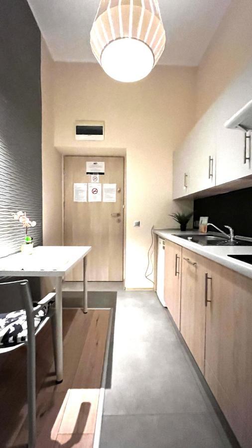 Single Studio In City Center Krakkó Kültér fotó